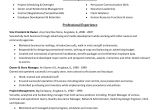 Sample Resume for Client Relationship Management Resume Enterprise Content Management Sidemcicek Com