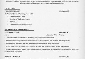 Sample Resume for College Student Example Resume Example Resume Of College Student