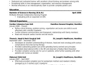 Sample Resume for Company Nurse 45 Download Resume Templates Pdf Doc Free Premium