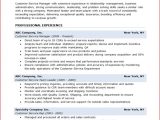 Sample Resume for Customer Care Executive 10 Customer Service Resume Templates Free Word Excel Pdf