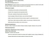Sample Resume for Customer Care Executive Professional Executive Resume Template 34 Word Pdf