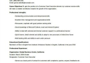 Sample Resume for Customer Care Executive Professional Executive Resume Template 34 Word Pdf
