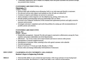 Sample Resume for Customer Care Executive Resume for Customer Care Executive Annecarolynbird