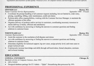 Sample Resume for Customer Service Representative Telecommunications Customer Service Representative Essays Free Customer