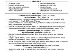 Sample Resume for Customer Service with No Experience Customer Experience Manager Resume Examples Free to Try