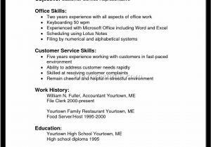 Sample Resume for Customer Service with No Experience Functional Resume Example Construction Sample Customer