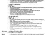 Sample Resume for Data Warehouse Analyst Data Warehouse Analyst Curriculum Vitae Google Verbs
