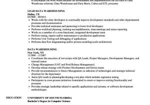 Sample Resume for Data Warehouse Analyst Data Warehouse Analyst Curriculum Vitae Google Verbs