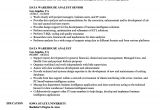 Sample Resume for Data Warehouse Analyst Data Warehouse Analyst Resume Samples Velvet Jobs