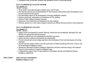 Sample Resume for Data Warehouse Analyst Data Warehouse Analyst Resume Samples Velvet Jobs