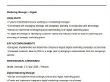Sample Resume for Digital Marketing Manager 40 Free Manager Resume Templates Pdf Doc Free