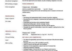 Sample Resume for Digital Marketing Manager Digital Marketing Manager Cv Template Example Latest