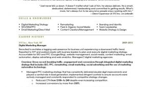 Sample Resume for Digital Marketing Manager Digital Marketing Manager Resume the Letter Sample