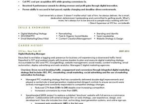 Sample Resume for Digital Marketing Manager Digital Marketing Manager Resume the Letter Sample
