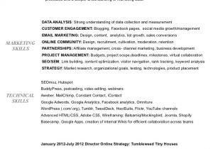 Sample Resume for Digital Marketing Manager Digital Marketing Resume Of Bridget Thornton