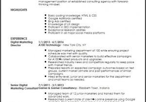 Sample Resume for Digital Marketing Manager Free Executive Digital Marketing Manager Resume Template