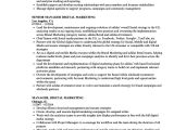 Sample Resume for Digital Marketing Manager Manager Digital Marketing Resume Samples Velvet Jobs