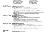 Sample Resume for Drug and Alcohol Counselor Best Drug and Alcohol Counselor Resume Example Livecareer