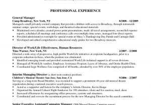 Sample Resume for Executive assistant to Senior Executive Personal assistant Resume Examples Application Letter for