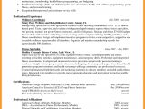 Sample Resume for Experienced 9 Cv Template Experienced Professional theorynpractice