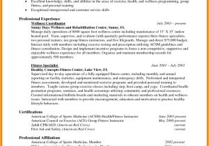 Sample Resume for Experienced 9 Cv Template Experienced Professional theorynpractice