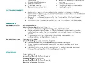 Sample Resume for Experienced assistant Professor In Engineering College Best Professor Resume Example Livecareer