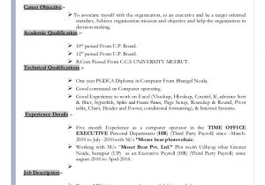 Sample Resume for Experienced Hr Executive Resume for Hr Executive Payroll Esic Pf