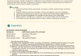 Sample Resume for Experienced Marketing Professional Over 10000 Cv and Resume Samples with Free Download