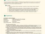 Sample Resume for Experienced Marketing Professional Over 10000 Cv and Resume Samples with Free Download