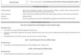 Sample Resume for Experienced PHP Developer Sample Resume for Experienced PHP Developer Free