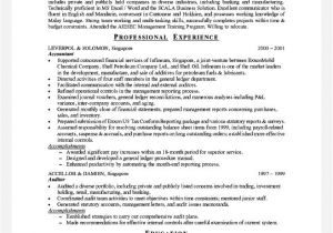 Sample Resume for Experienced Sales Professional Experience On A Resume Template Learnhowtoloseweight Net