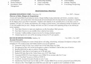 Sample Resume for Experienced Sales Professional Sales Director Resume