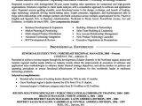 Sample Resume for Experienced Sales Professional Sample Resume format for Experienced Sales Executive