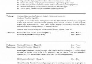 Sample Resume for Flight attendant Position Flight attendant Resume