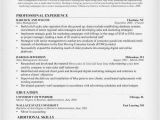 Sample Resume for Fmcg Sales Officer Download Fmcg Resume Sample Ajrhinestonejewelry Com