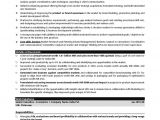 Sample Resume for Fmcg Sales Officer Sales Fmcg Resume