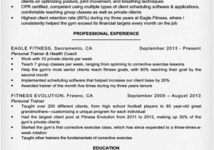 Sample Resume for Gym Instructor Personal Trainer Resume Sample Writing Tips Resume
