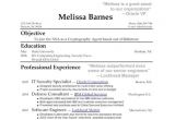 Sample Resume for High School Graduate with Little Experience Resume for First Job No Experience How to Write A Resume