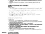 Sample Resume for International Jobs International Sales Manager Resume Samples Velvet Jobs