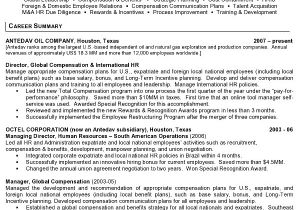 Sample Resume for International Jobs Resume Sample 11 International Human Resource Executive