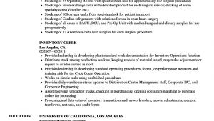 Sample Resume for Inventory Clerk Inventory Clerk Resume Samples Velvet Jobs