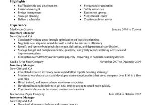 Sample Resume for Inventory Manager Inventory Manager Resume Examples Free to Try today