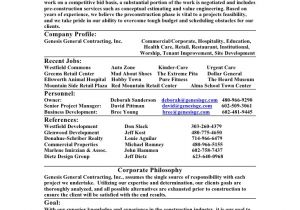 Sample Resume for It Companies Company Resume
