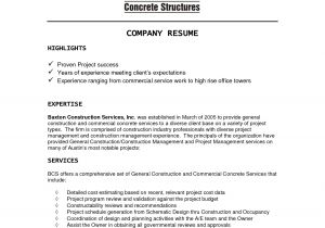 Sample Resume for It Companies Corporate Resume Examples Resume Ideas Company Resume
