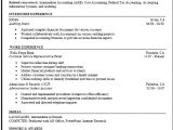 Sample Resume for It Companies Mock Resume Free Excel Templates