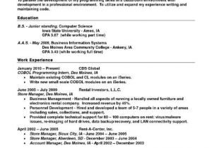 Sample Resume for It Companies Sample Resume Multiple Positions Same Company Resume