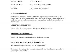 Sample Resume for Lawn Care Worker Lawn Care Description Resume Sidemcicek Com