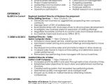 Sample Resume for Managing Director Position assistant Director Resume Examples Created by Pros