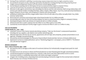 Sample Resume for Managing Director Position Executive Managing Director Resume