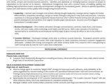 Sample Resume for Managing Director Position Executive Managing Director Resume